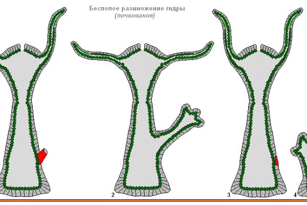 Кракен плейс