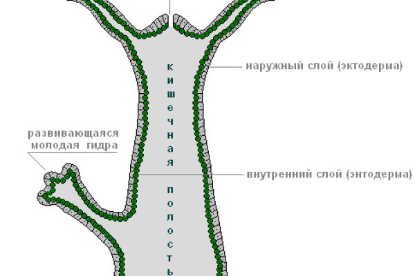 Как зарегистрироваться на кракене