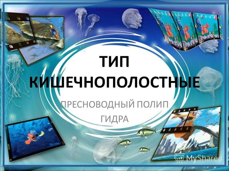 Кракен kr2web in магазин
